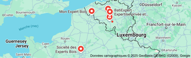 expertise bois
