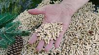granules de bois