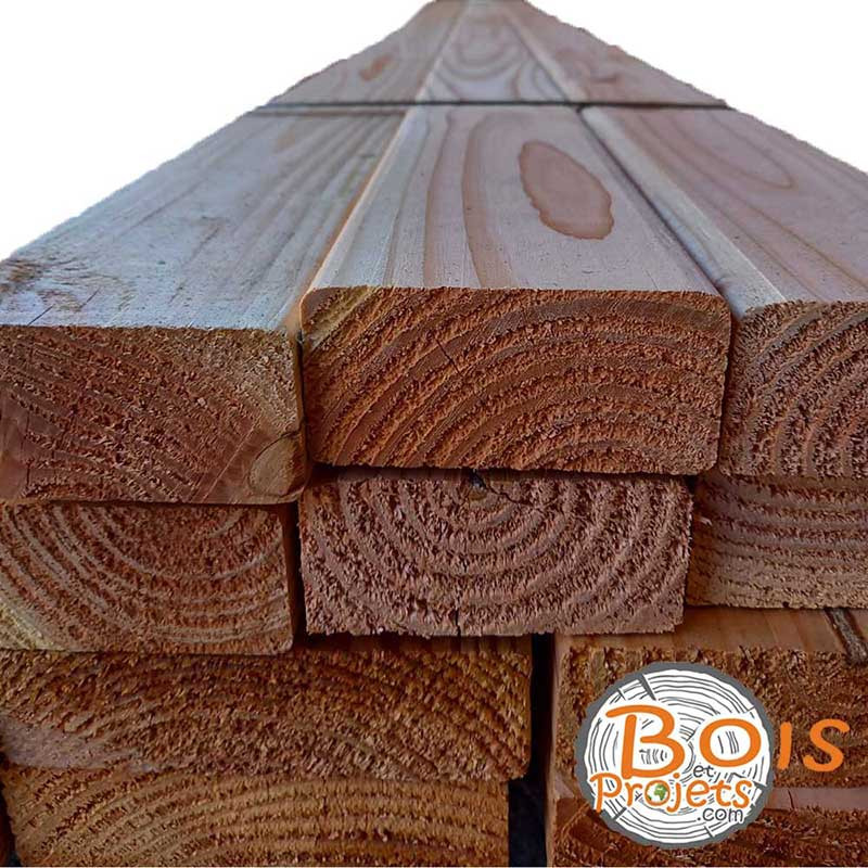 bois ossature douglas