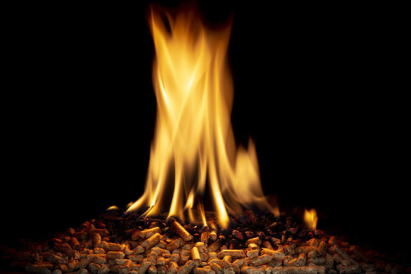 meilleur granulés bois