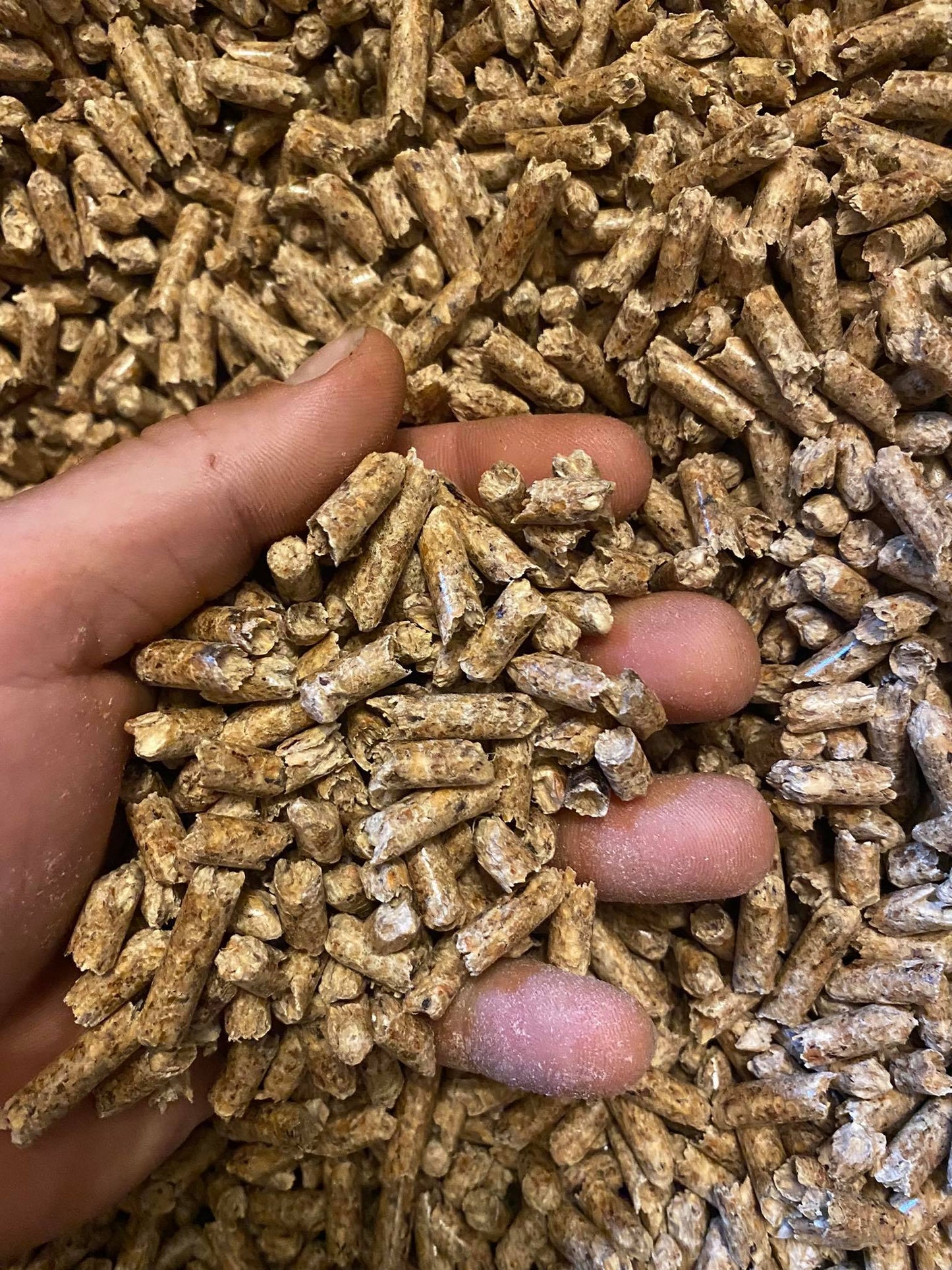 granulés bois pas cher