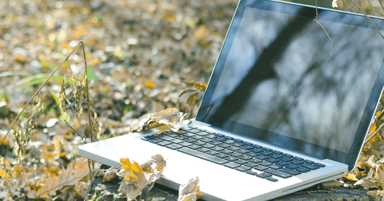 site internet écologique